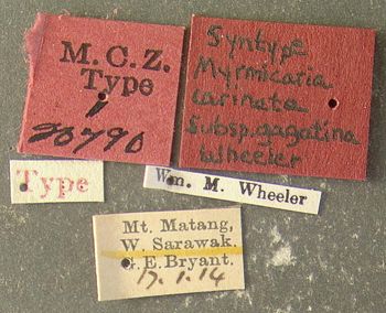 Media type: image;   Entomology 20790 Aspect: labels